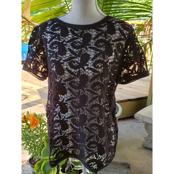 LOFT Tops - Loft Black Lace Sheer Short Sleeve Top XL